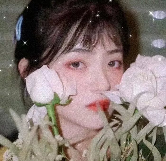 半妖倾城第一季