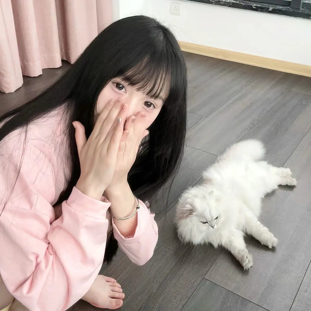 傲骨贤妻第七季